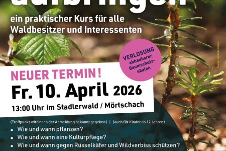 Mischwald aufbringen