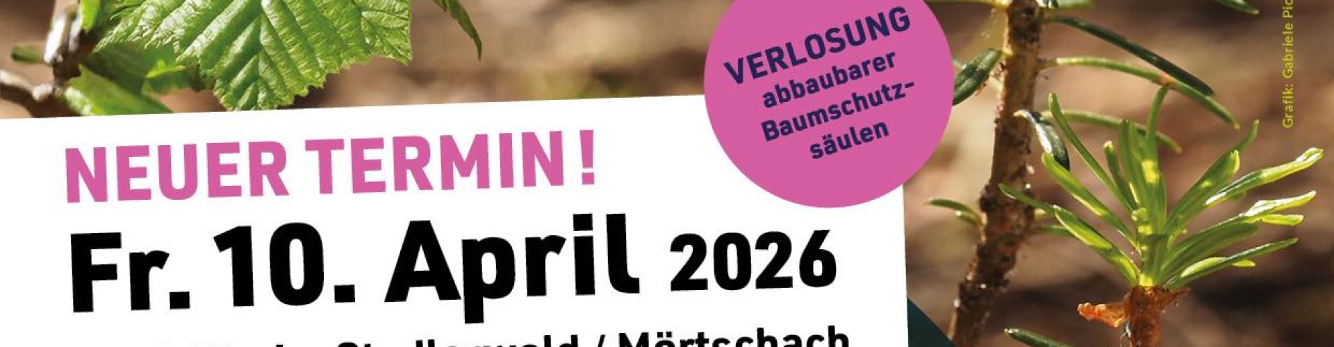 Mischwald aufbringen